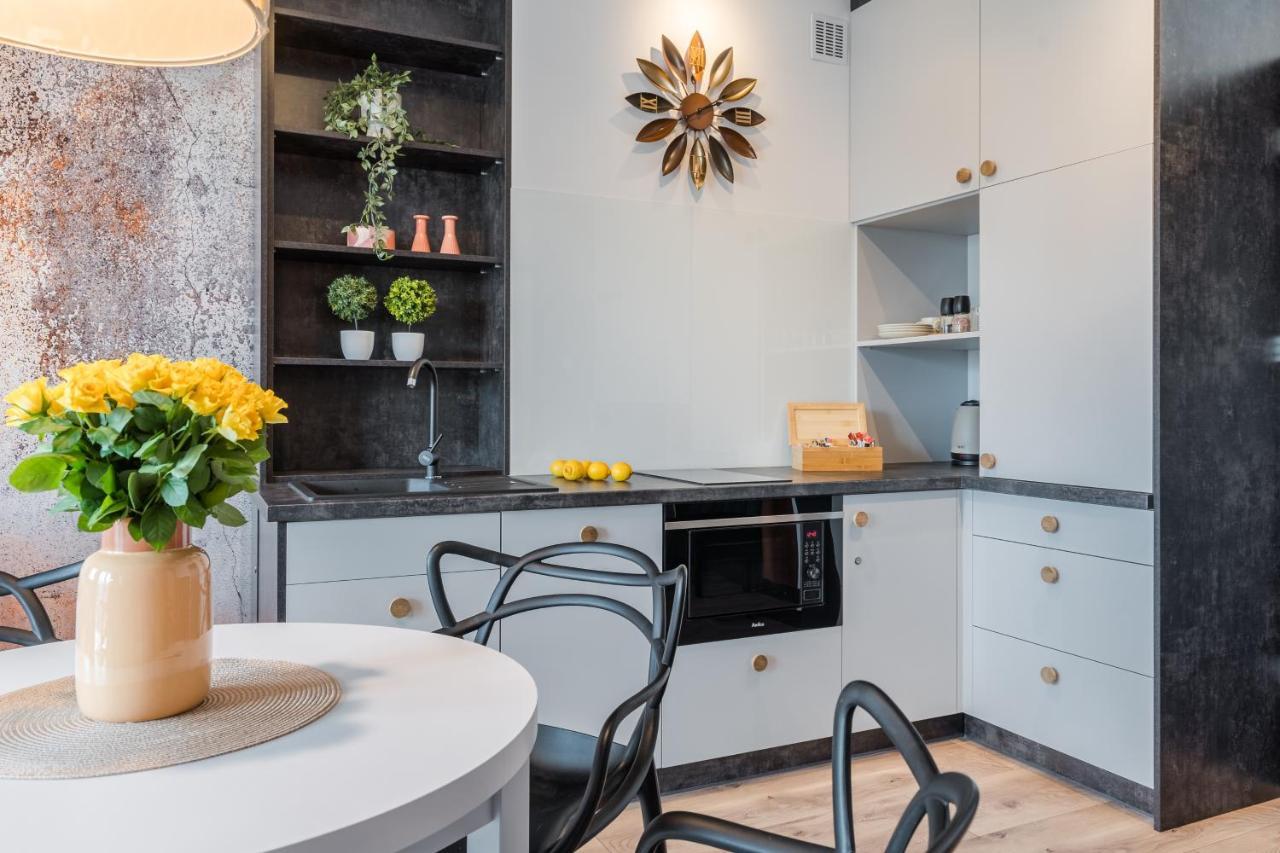 Platinum Premium Apartment Grudziądz المظهر الخارجي الصورة